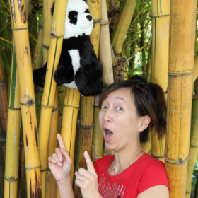 Chinese tutoring service | misspandachinese.com Chinese tutoring service | misspandachinese.com